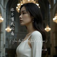 你不懂我的痛 (You don't understand my pain) by Sam Yu 于心菲
