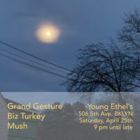 Biz Turkey, Mush, Grand Gesture