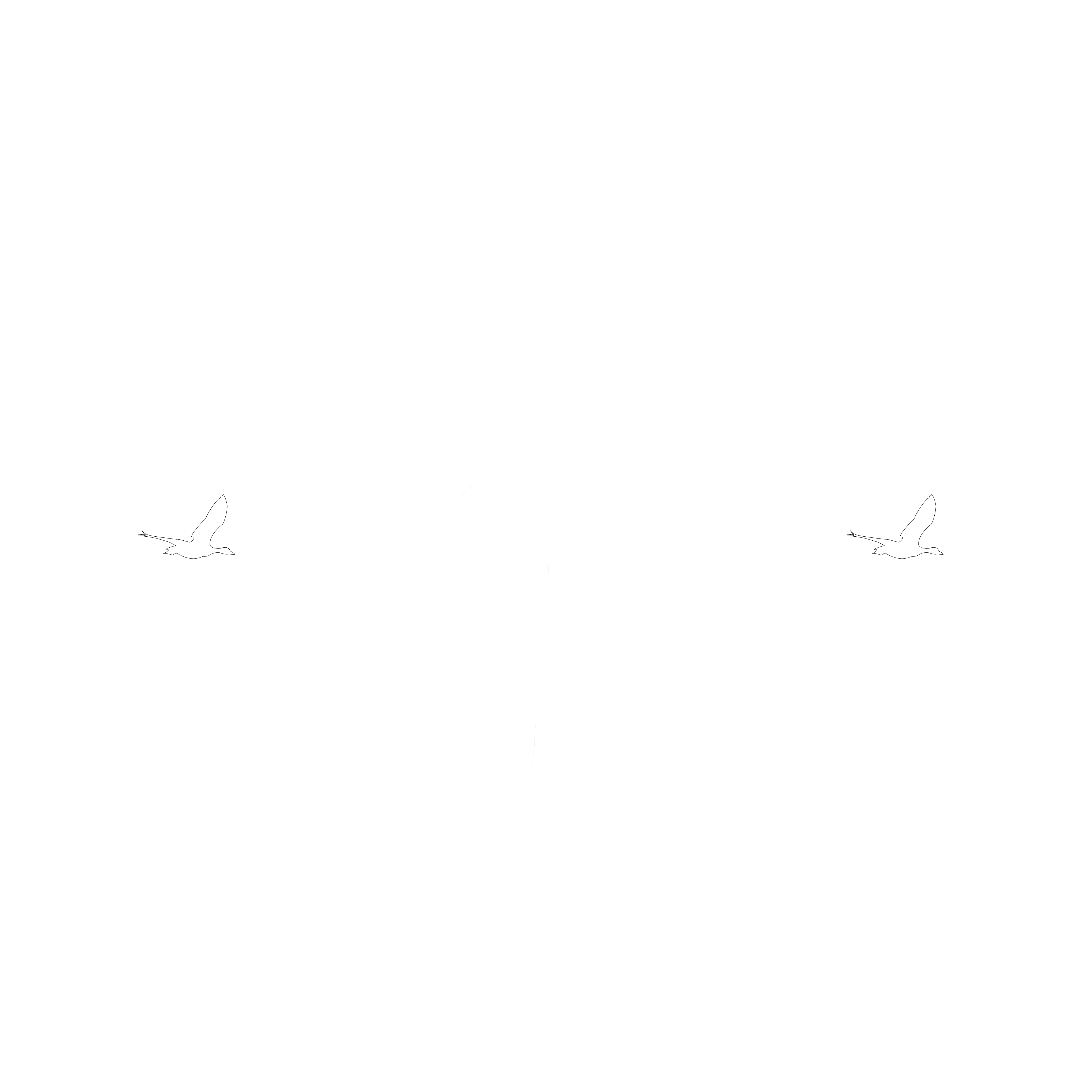 The Honk Committee