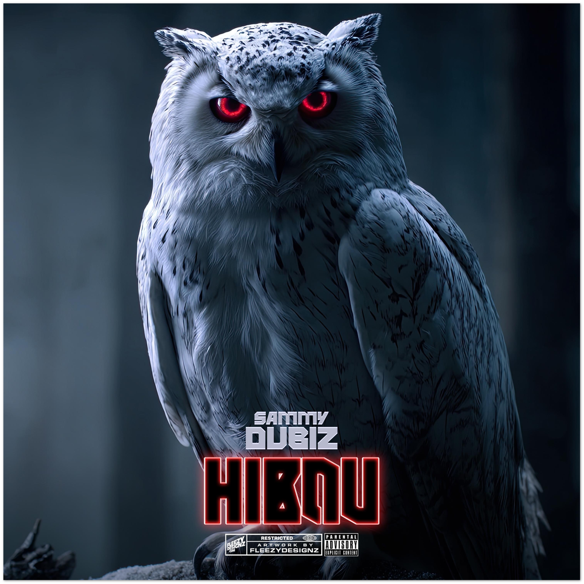 HIBOU - Fine Art Poster