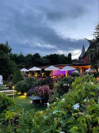 Summer of Live Music at The Middle House