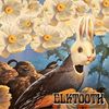 Elktooth - Vinyl