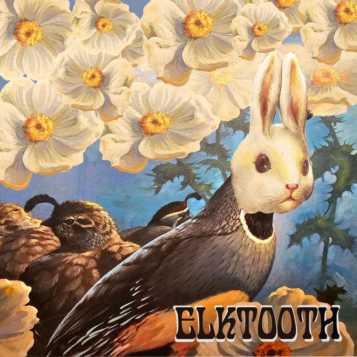 Elktooth - Vinyl