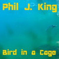 Bird in a Cage by Phil J. King