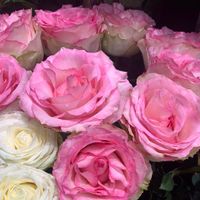 Rose Garden by Yoslounge ft. Mori Behar