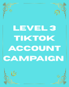 Level 2 TikTok Account & Video Campaign