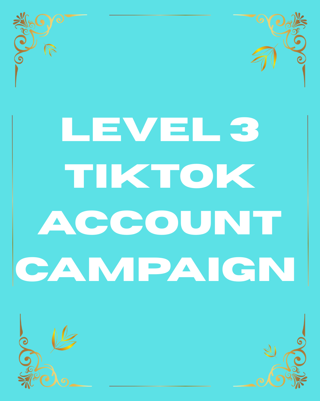 Level 2 TikTok Account & Video Campaign