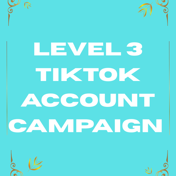 Level 2 TikTok Account & Video Campaign