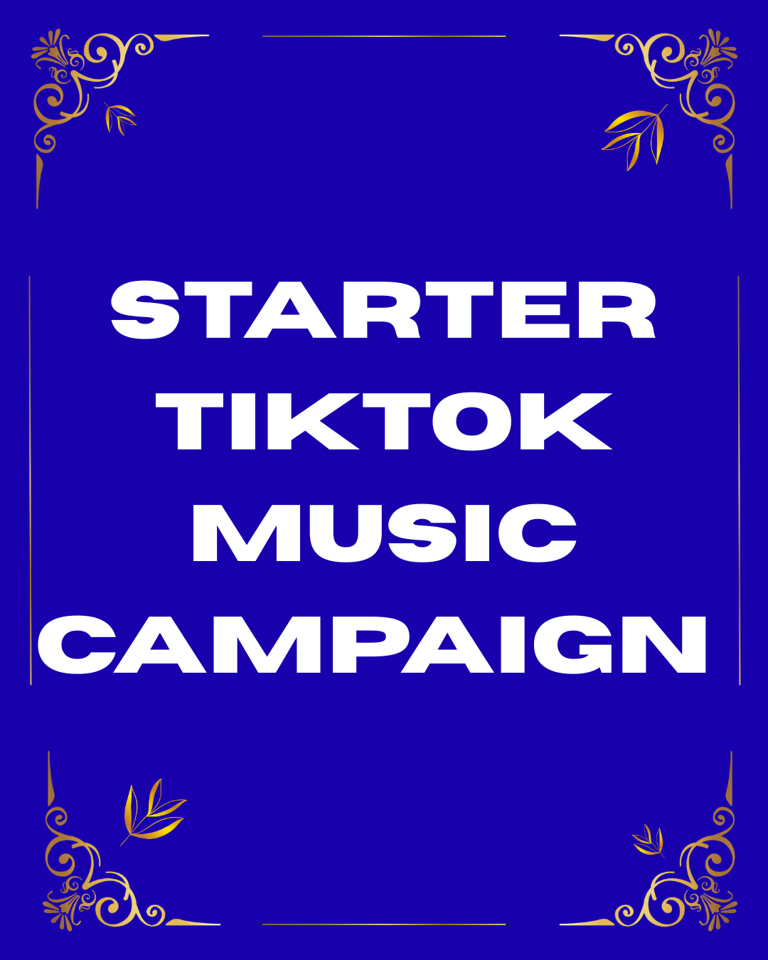Starter TikTok Music Campaign