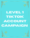 Level 1 TikTok Account & Video Campaign