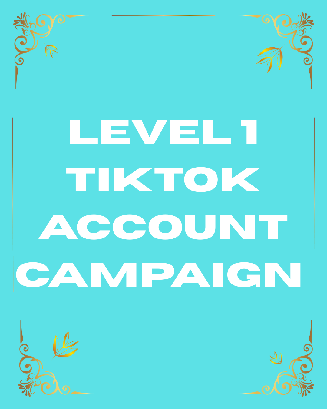 Level 1 TikTok Account & Video Campaign