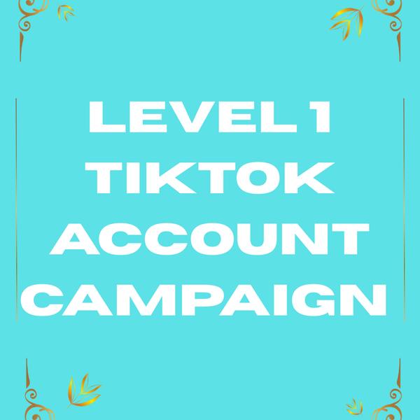 Level 1 TikTok Account & Video Campaign