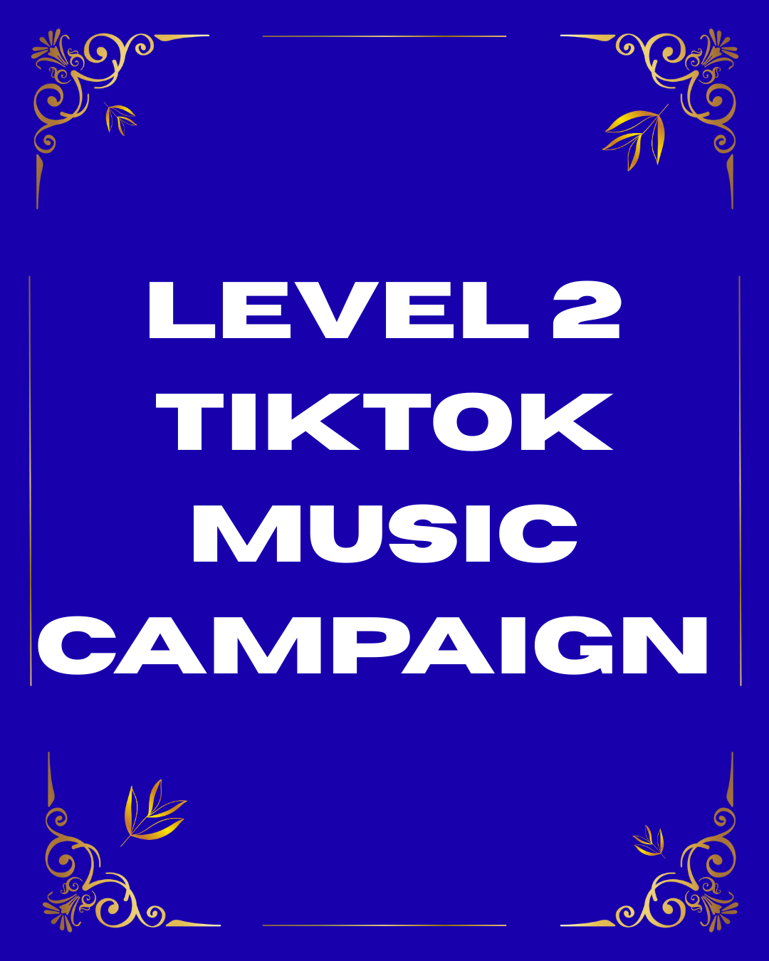 Level 2 TikTok Music Campaign