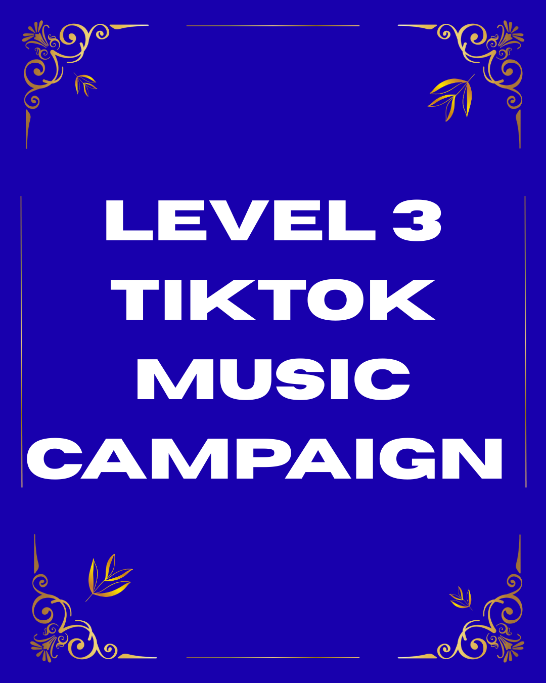  Level 3 TikTok Music Campaign