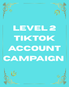 Level 2 TikTok Account & Video Campaign