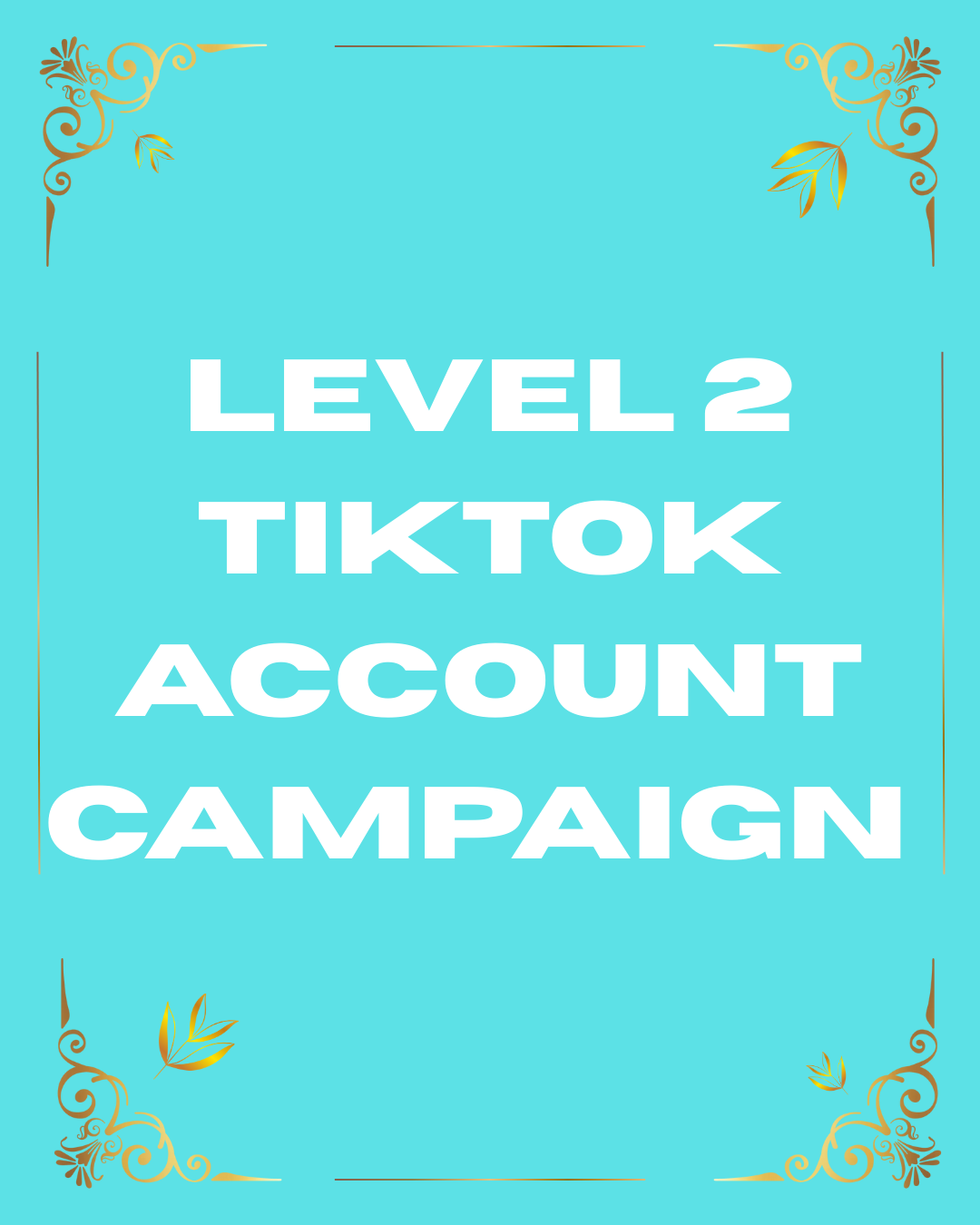 Level 2 TikTok Account & Video Campaign