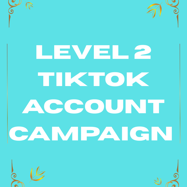 Level 2 TikTok Account & Video Campaign