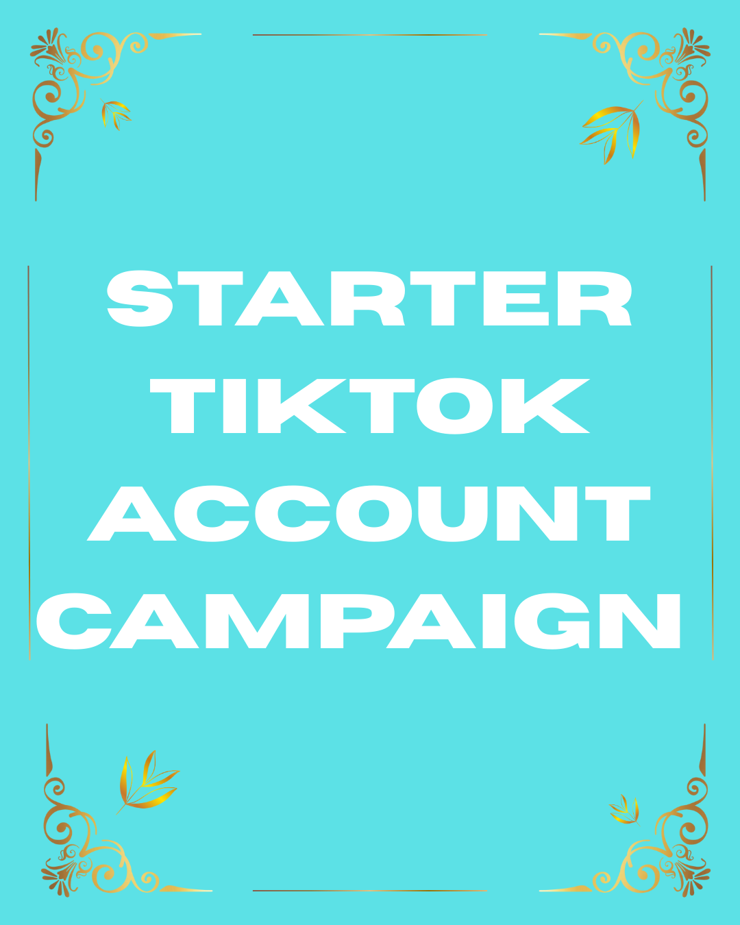 Starter TikTok Account & Video Campaign 
