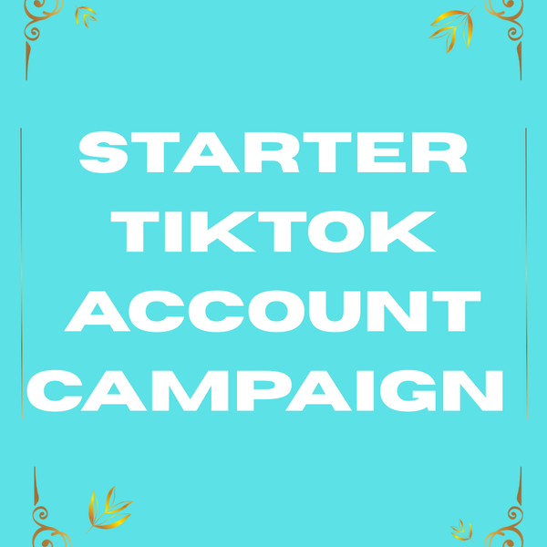 Starter TikTok Account & Video Campaign 