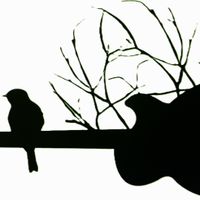 Bird On It | EP to be released by Wes Kelley