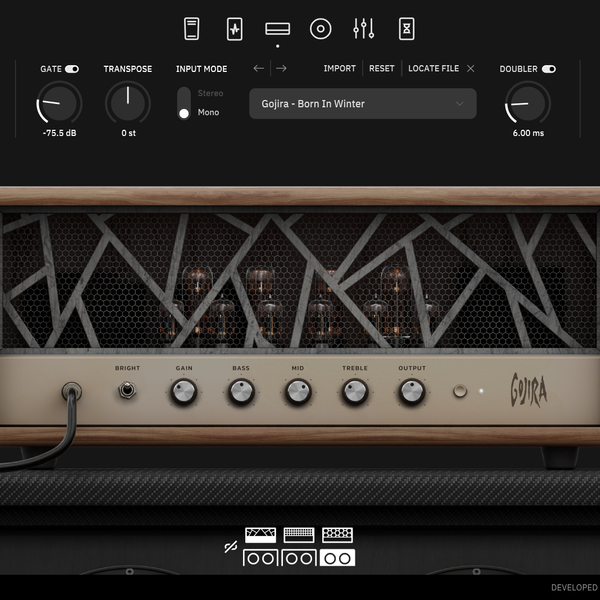Neural DSP Archetype Gojira - Born In Winter presets