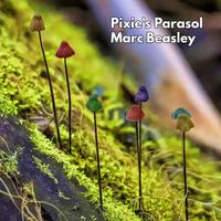 Pixie's Parasol by Marc Beasley