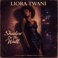Shadow On The Wall by Liora Twani