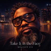 TAKE IT IN THE FACE by BRUISER 313