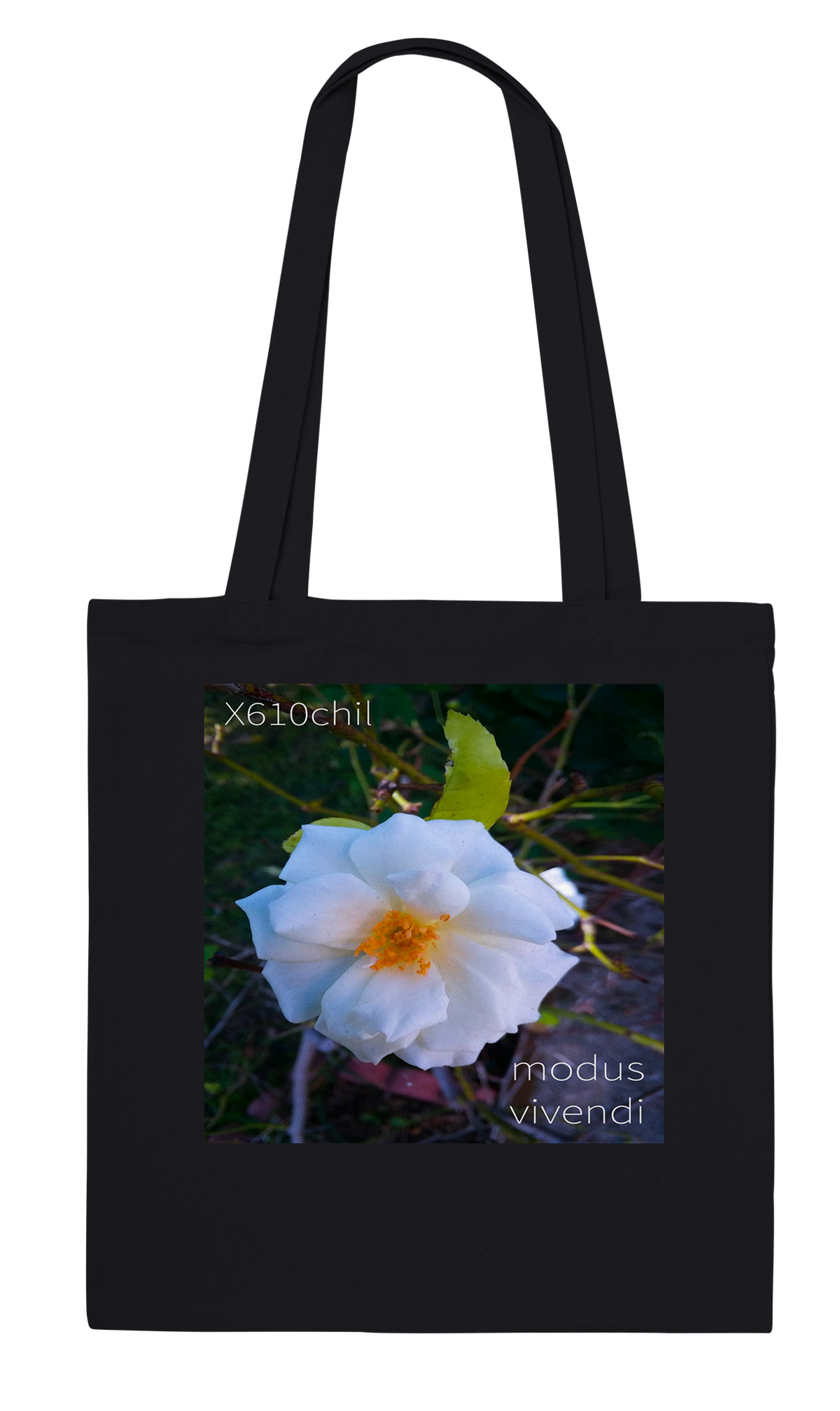 modus vivendi - Tote bag