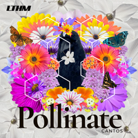 Pollinate by Cantos