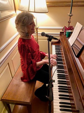 Holiday entertainment for private client
