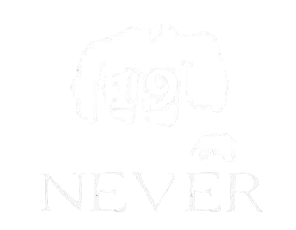 19-NEVER