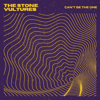 Can’t Be The One  by The Stone Vultures