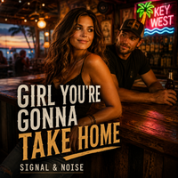 Girl You're Gonna Take Home by Signal & Noise