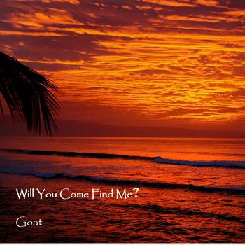 Will You Come Find Me?
