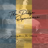 Burning Down the Phoenix by The Pulse Experience