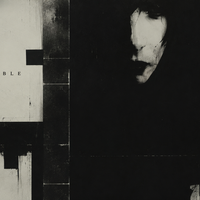 Undesirable by post-punk'er