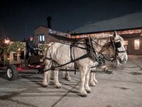 Holiday Nights - Caroling for Horse-drawn Wagon Rides