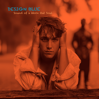 Sound of a Worn Out Soul by Design Blue