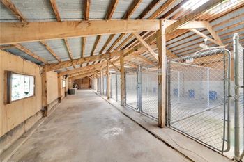 Individual dog activity areas - connected to indoor suites
