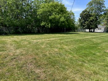 Fully fenced 1/2 acre play yard. Surrounded by mature shade trees.
