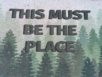 This IS the place!
