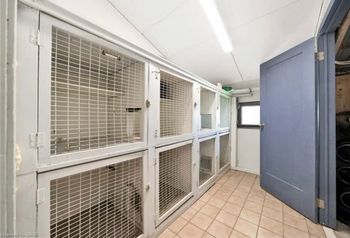 Kitty Room
