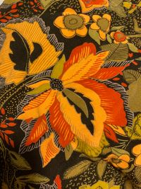 Track Release!  -  Molecular Lepidoptera