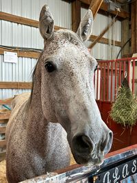 Bob Nordquist at the Carver County Fair