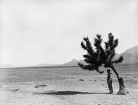 Buster Keaton's "Go West"