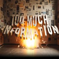 Too Much Information by Fizzy Ku