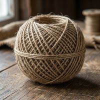 String by Fizzy Ku