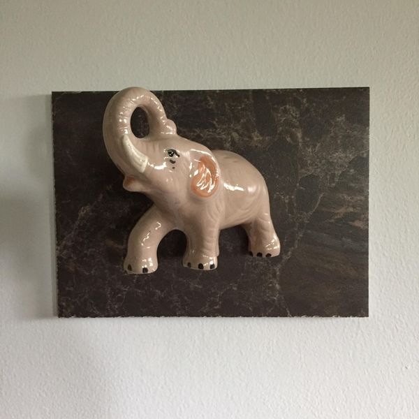 Elephant Charge! 