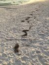 Tropical Locations On the Beach